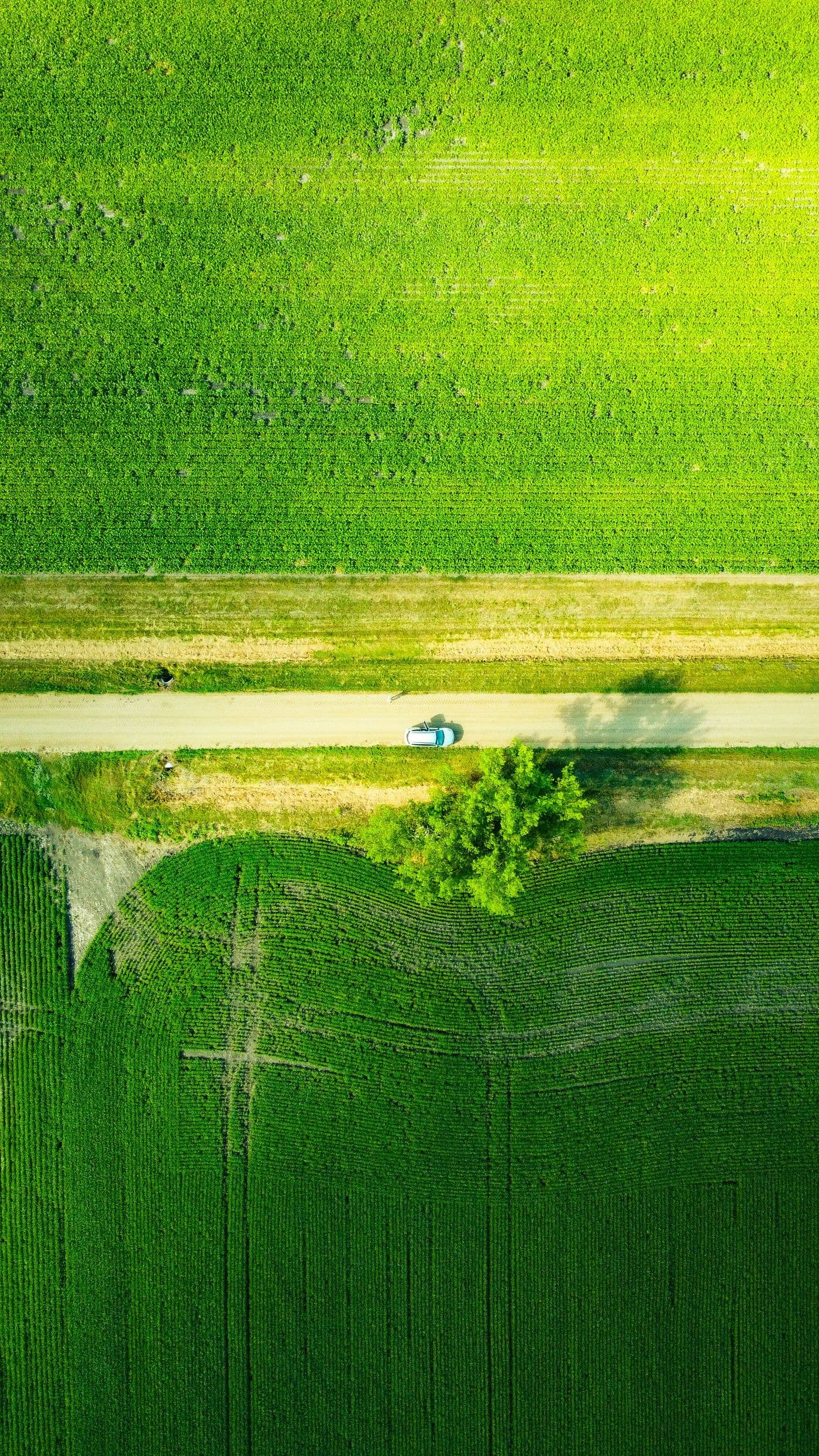 decarbonation-automobile
